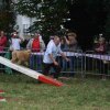 foire-haricots 2011-09-17et18